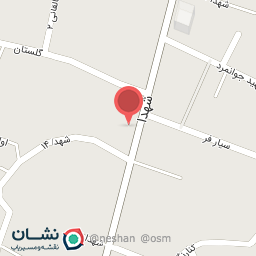 عکس زیتون نگین سبز