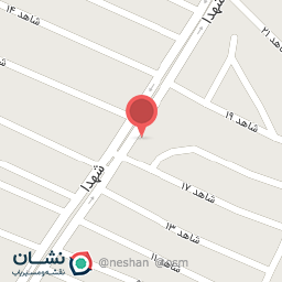 عکس فلافل پیتزا دکتر شکم