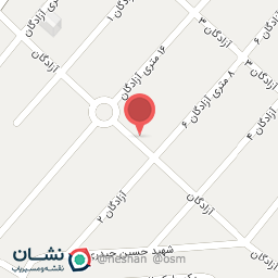 عکس کباب آماده به سیخ سلیمی