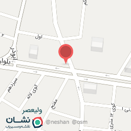 عکس کفش ملی