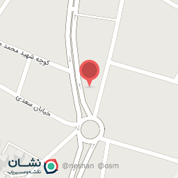 عکس الکتریکی علی