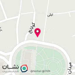 عکس دکتر مهدی تجزیه چی 