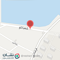 عکس پیتزا پیاده رو 