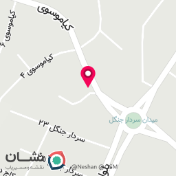 عکس پروتئینی و مرغ گیلدخت