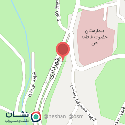 عکس کفاشی سیدحسین فردانش