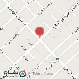 عکس فرش نقشینه