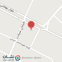 عکس فست فود