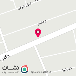 عکس چلوکبابی ناین استار تبریز