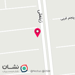 عکس پیتزا دانی