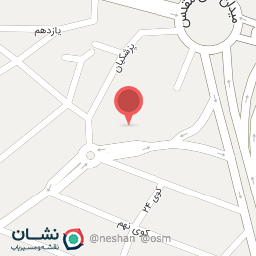 عکس مکانیکی علی