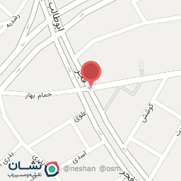 عکس پیتزا ساندویچ دلف