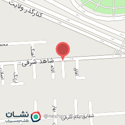 عکس کفش پاناز