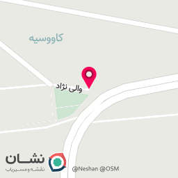 عکس رادین پوشش زرین