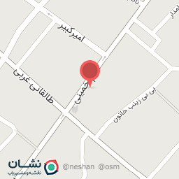 عکس صوتی تصویری برادران عباسی