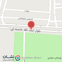 عکس گل فروشی مینیاتور