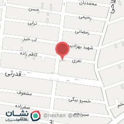 عکس پرنده فروشی علی