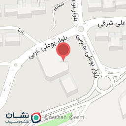 عکس پیتزا نرمن