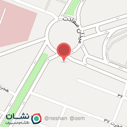 عکس لاستیک فروشی دولتی