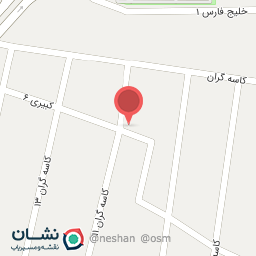 عکس کفش گل آرا