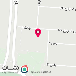 عکس اسباب بازی شلمان