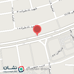 عکس شال و روسری روژین 