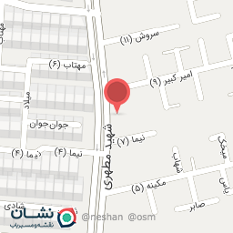 عکس کفش نیلمو