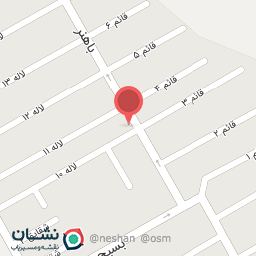 عکس شیرینی بالدی بال