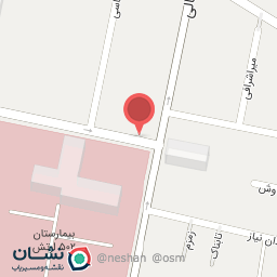 عکس پیتزا ژاک