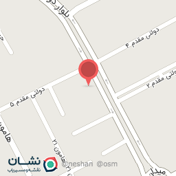 عکس برق اتومبیل برادران بزی