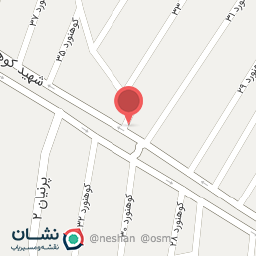 عکس خودپرداز