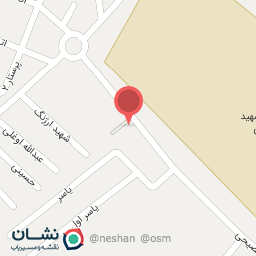 عکس تهیه غذای زیتون