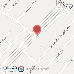 عکس سیستم حفاظتی نیک