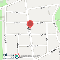 عکس مشاورین املاک احمدی