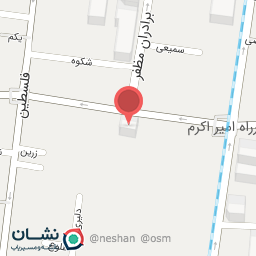 عکس تولیدی تی نی