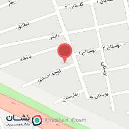 عکس نجاری صابری