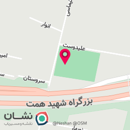 عکس مدرسه فوتبال اف سی کیا