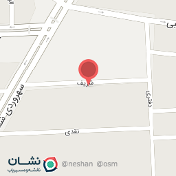 عکس شبکه پرداز رایکا