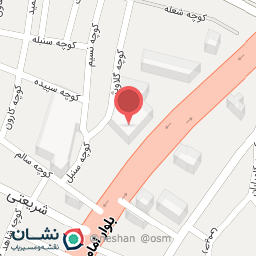 عکس کیف و کفش نازلی