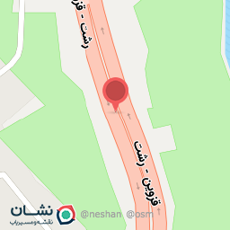 عکس زیتون جهانی