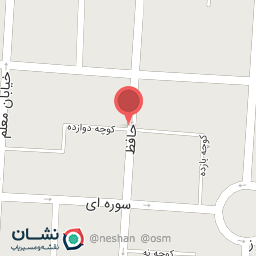 عکس بورس شلوار زنانه آیلین 