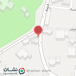 عکس لمون برگر 