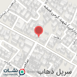 عکس الکتریکی میثم