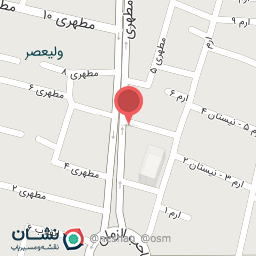 عکس کیف و کفش برکه