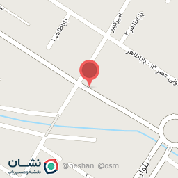 عکس دزدگیر دنیس