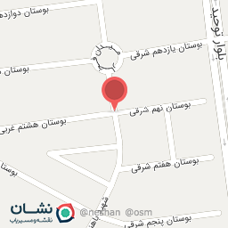 عکس برق اتومبیل حامد