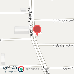 عکس دکتر فروغ شادانلو