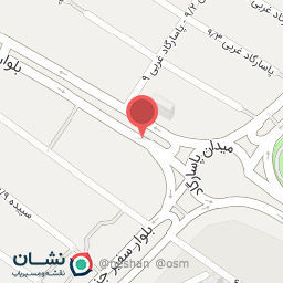 عکس خشکبار آنتیک