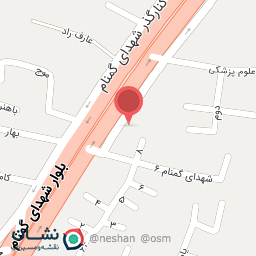 عکس لنت پدرام