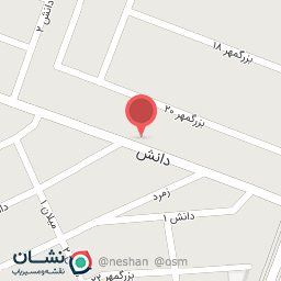 عکس برادران میر