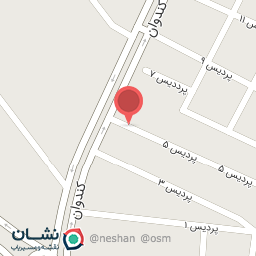 عکس سیم پیچی سعید امیری